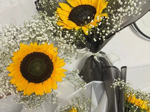 Geburtstag